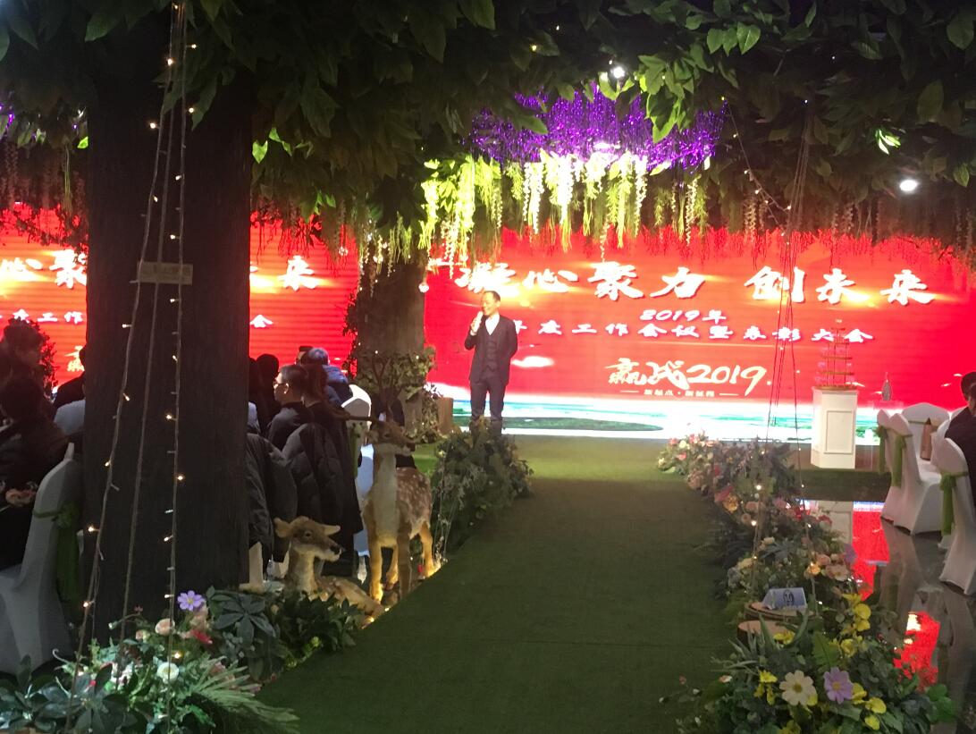 2019年 凝心聚力-创未来年度会议总结暨表彰大会(图6)