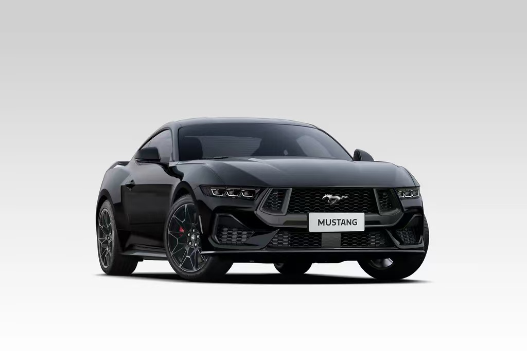 Mustang(图7)